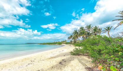 Isla Contoy es un una zona declarada de Reserva Natural y Refugio de la Fauna Nacional desde 1961. Se localiza al norte de Isla Mujeres