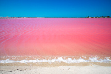 Las Coloradas es un puerto ubicado en el litoral norte de la península de Yucatán perteneciente...