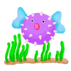 Puffer fish in the sea
