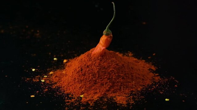 Slow motion spicy whole red chilli pepper falling into pile of savoury paprika powder isolated on black background studio shot