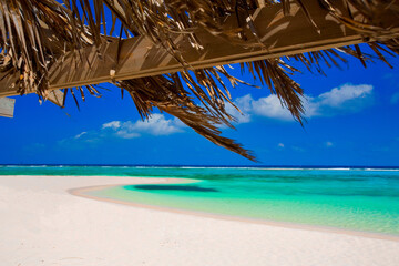 A lonely stretch of amazing white sand and turquoise Caribbean Sea  on Little Cayman, Cayman Islands, Caribbean