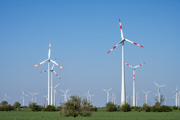 Many wind turbines in an agricultural landscape in Germany