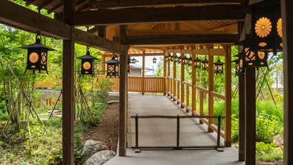 吊燈籠が並ぶ渡り廊下【氷川神社】日本埼玉県川越市