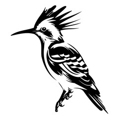 Eurasian hoopoe icon, Simple illustration of Eurasian hoopoe icon, bird glyph icon.