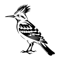 Eurasian hoopoe icon, Simple illustration of Eurasian hoopoe icon, bird glyph icon. © Ann