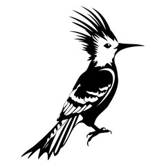 Eurasian hoopoe icon, Simple illustration of Eurasian hoopoe icon, bird glyph icon. © Ann