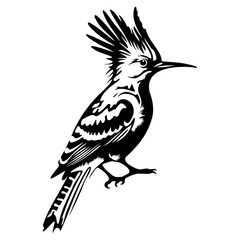 Eurasian hoopoe icon, Simple illustration of Eurasian hoopoe icon, bird glyph icon.