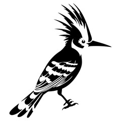 Eurasian hoopoe icon, Simple illustration of Eurasian hoopoe icon, bird glyph icon. © Ann