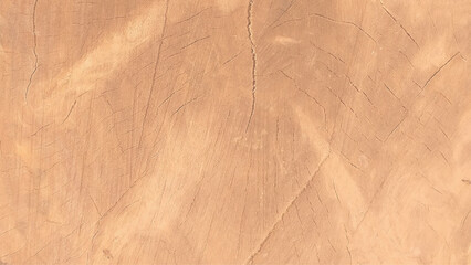 Wood texture. Close up of old wood background