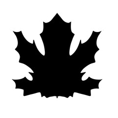 Maple,Silhouette