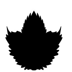 Maple,Silhouette