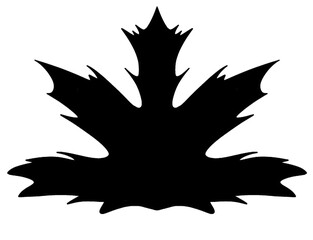 Maple,Silhouette