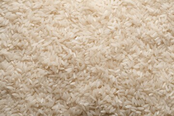 Raw rice background