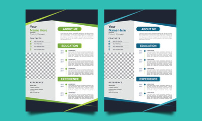 Professional CV resume template design. Business layout vector clean for job applications. In A4 size.