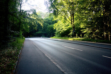 Road among green trees