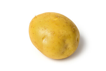 Tuber of new potatoes on a white background. A whole raw tuber of natural organic potatoes.