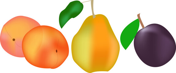 Fruits - ripe peaches, pear and a plum - vector isolated. Healthy food.