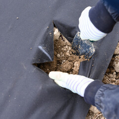 A worker in the field digs a hole under the agrofibre for later planting a plant there.