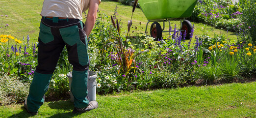 Landschaftsgärtner bei der Gartenarbeit am Blumenbeet