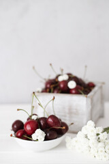Ripe cherries on the kitchen table