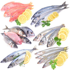 Fresh fish with lemon isolated