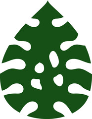 Monstera leaf