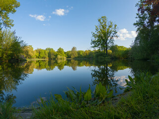 Lake in the park. Smooth water