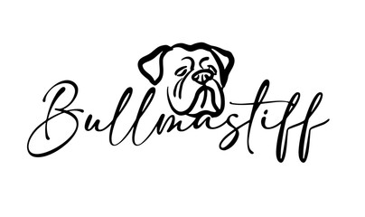 vector of bullmastiff text with head of dog 