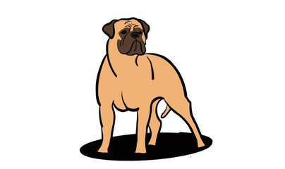 vector of bullmastiff