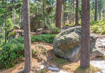 Big boulders on the red hiking trail between the rock towns of Błędne Skały and Szczeliniec Wielki in the Central Sudetes in the Stolowe Mountains (Poland) - obrazy, fototapety, plakaty