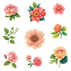 collection of flower vol.4