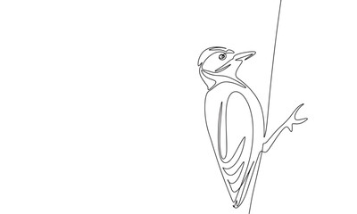 Continuous line art or One Line Drawing of  bird woodpecker picture vector illustration