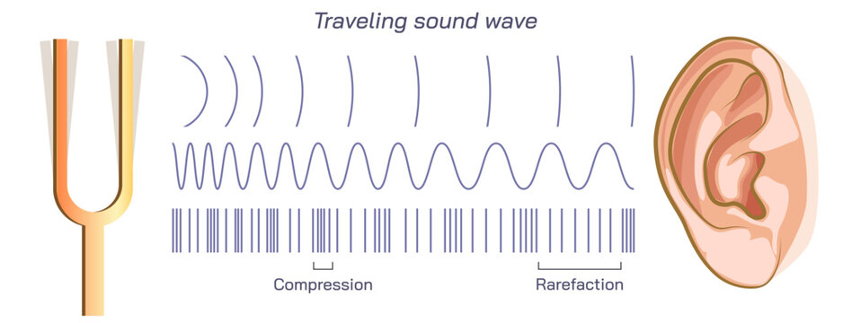 Difference between two ears, double hearing, density or pressure of sound, different frequency, compression, rarefaction and ambient pressure. travelling sound wave, Dysharmonica and echoica. sound