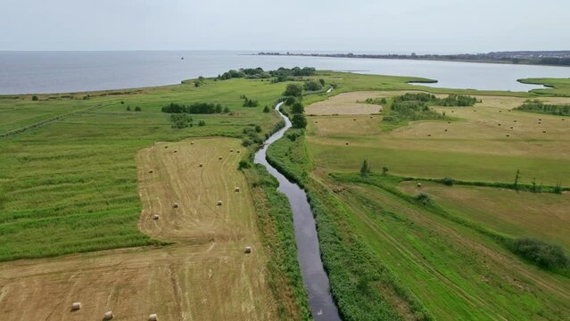 Reveal shot (tilting up) of a river in Polish nature reserve "Beka".