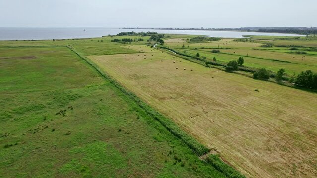 Flying through Polish nature reserve "Beka".
