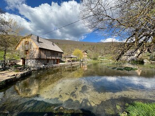 Fototapeta na wymiar The springs of the Gacka river - Majer's spring, Croatia (Izvori rijeke Gacke ili Vrila Gacke - Majerovo Vrilo, Sinac - Lika, Hrvatska)