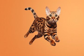 Bengal Cat In Jumping, In Flight On Peach Color Background. Generative AI
