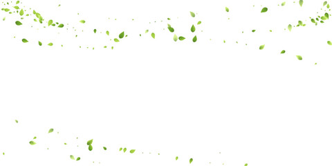 Leaves Green Falling Flying Foliage Leaf Tea Mint