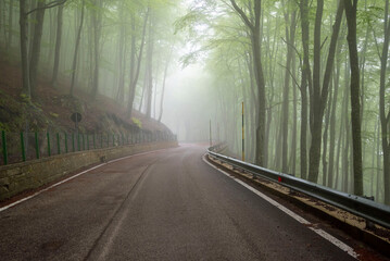 Obraz premium Foggy Forest in Maiella National Park - Italy