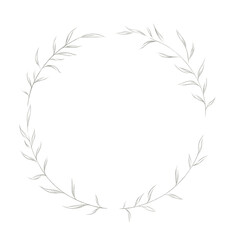 Botanical elegant line art modern style. png illustrations