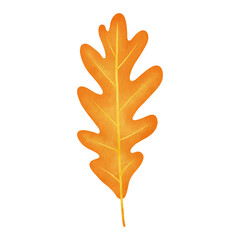 Orange Yellow White Oak Leaf Watercolor Illustration