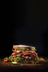 Delicious sandwich on dark background. Empty space for text, vertical banner
