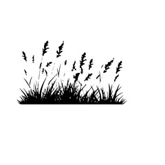 grass silhouette illustration 