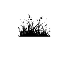 grass silhouette illustration 