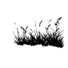 grass silhouette illustration 