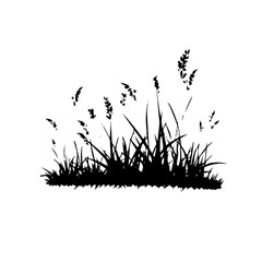 grass silhouette illustration 