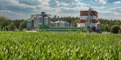 agro silos on agro-industrial complex and grain drying and seeds cleaning line.