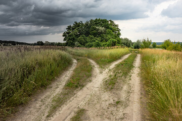 Fototapeta na wymiar Two roads in the countryside with a meadow and trees on a cloudy summer day with rain clouds in the sky. Path choice concept