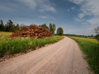 Small country road without asphalt surface in farmland with a pile of firewood on a side. Beautiful blue cloudy sky. Simple nature landscape. Latvia country side and forestry business.