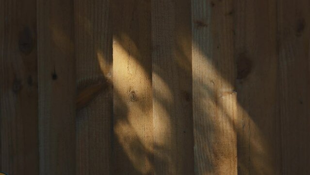 Sunlight shining creating patterns of light on a wooden fence
